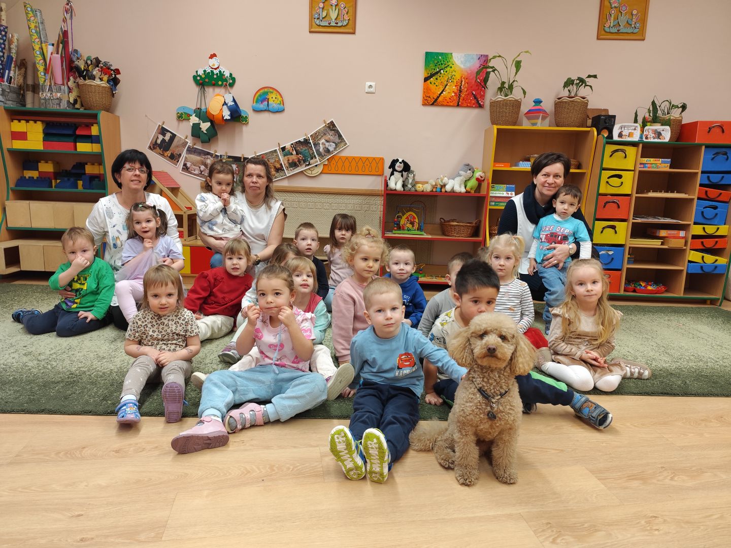 Háziállatok hete-Csillag csoport 2026.